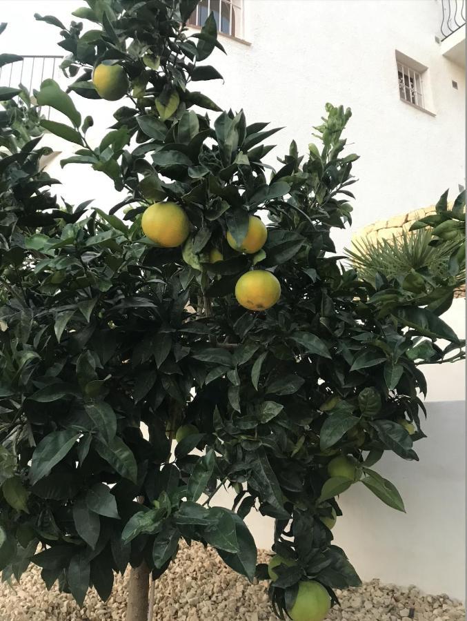 Casa Zebole Villa Calpe Kültér fotó